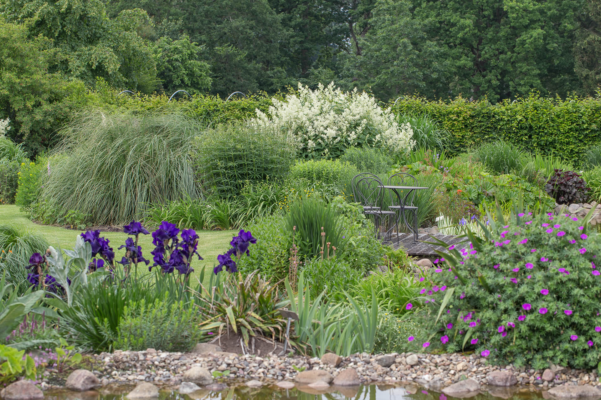 Staudengärtnerei Ihm - Zehren Meißen